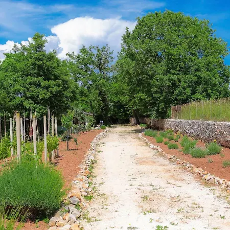 D&d By Interhome 풀라