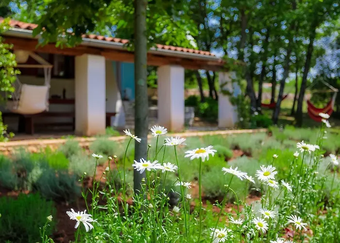 Casa de Férias D&d By Interhome