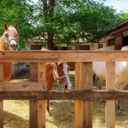 Feriehus D&d By Interhome Pula