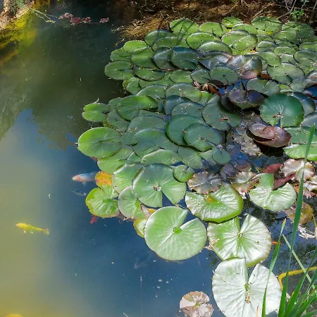 Casa de Férias D&d By Interhome Pula