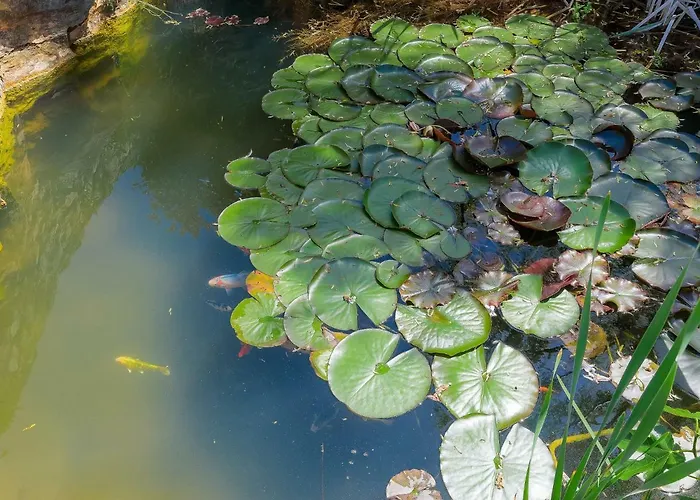 Holiday home D&d By Interhome Pula