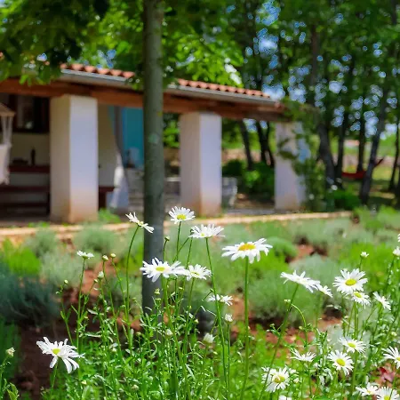 Ferienhaus D&d By Interhome
